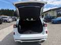 Ford Kuga Plug-In Hybrid ST-Line, Rückfahrkamera Weiß - thumbnail 14