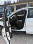 Ford Kuga Plug-In Hybrid ST-Line, Rückfahrkamera Weiß - thumbnail 9