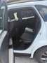 Ford Kuga Plug-In Hybrid ST-Line, Rückfahrkamera Weiß - thumbnail 11