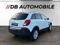 Opel Antara 2,2 CDTI Style DPF Weiß - thumbnail 5