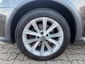 Volkswagen Passat Alltrack 2.0 TDI 4M DSG*AHK/Xenon/Leder* Braun - thumbnail 28