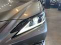 Lexus ES 300 2.5 300h Business Gris - thumbnail 25
