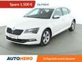 Skoda Superb 2.0 TDI Ambition *BI-XENON*TEMPO*PDC* Weiß - thumbnail 1