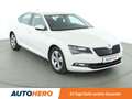 Skoda Superb 2.0 TDI Ambition *BI-XENON*TEMPO*PDC* Weiß - thumbnail 8