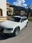 Audi A4 allroad 2.0 tdi Business 190c s-tronic Bianco - thumbnail 1