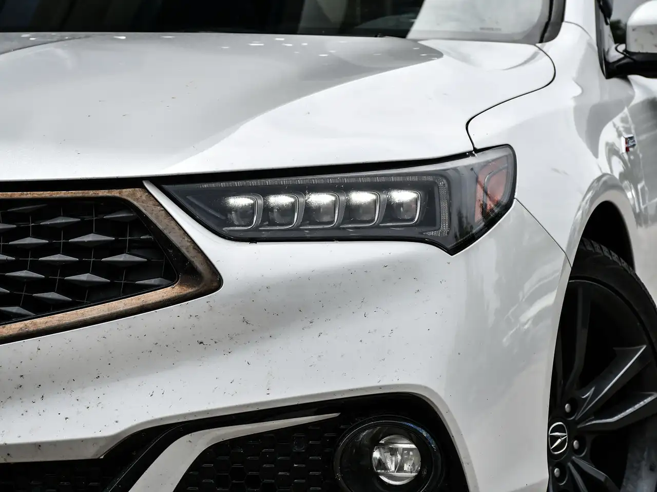 Acura TLX fotografie Acura TLX