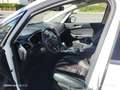 Ford S-Max 2.0 TDCi Aut. Allrad Titanium Weiß - thumbnail 5
