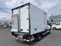 Mercedes-Benz Sprinter 516CDI,Carrier,-20°C Tiefkühl+Strom Weiß - thumbnail 2