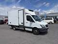 Mercedes-Benz Sprinter 516CDI,Carrier,-20°C Tiefkühl+Strom Weiß - thumbnail 1