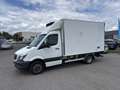 Mercedes-Benz Sprinter 516CDI,Carrier,-20°C Tiefkühl+Strom Weiß - thumbnail 9