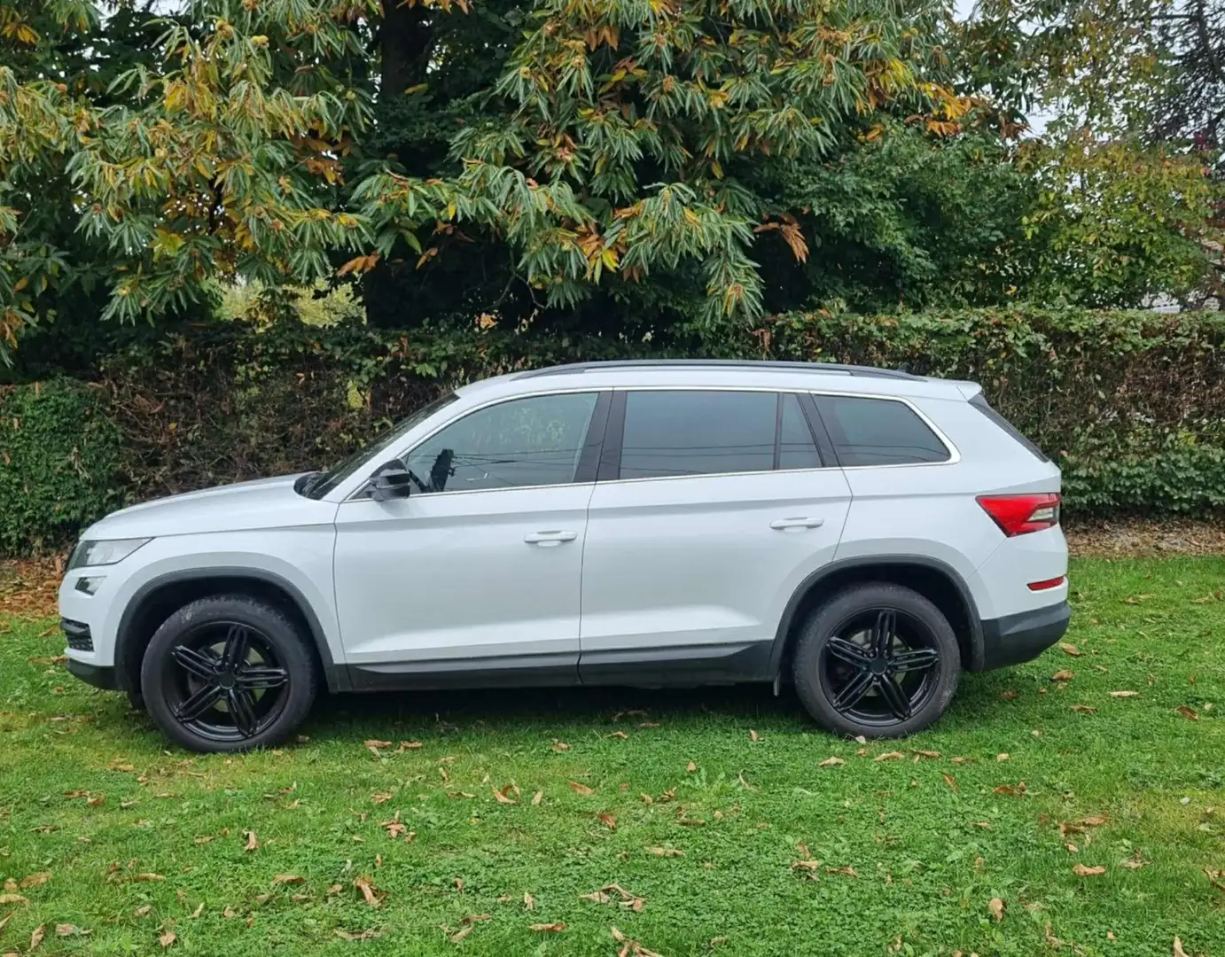 Skoda Kodiaq 2.0 CR TDi Style DSG Blanc - 2