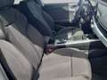 Audi A5 II 2020 Sportback Sportback 35 2.0 tdi mhev S lin Blau - thumbnail 12