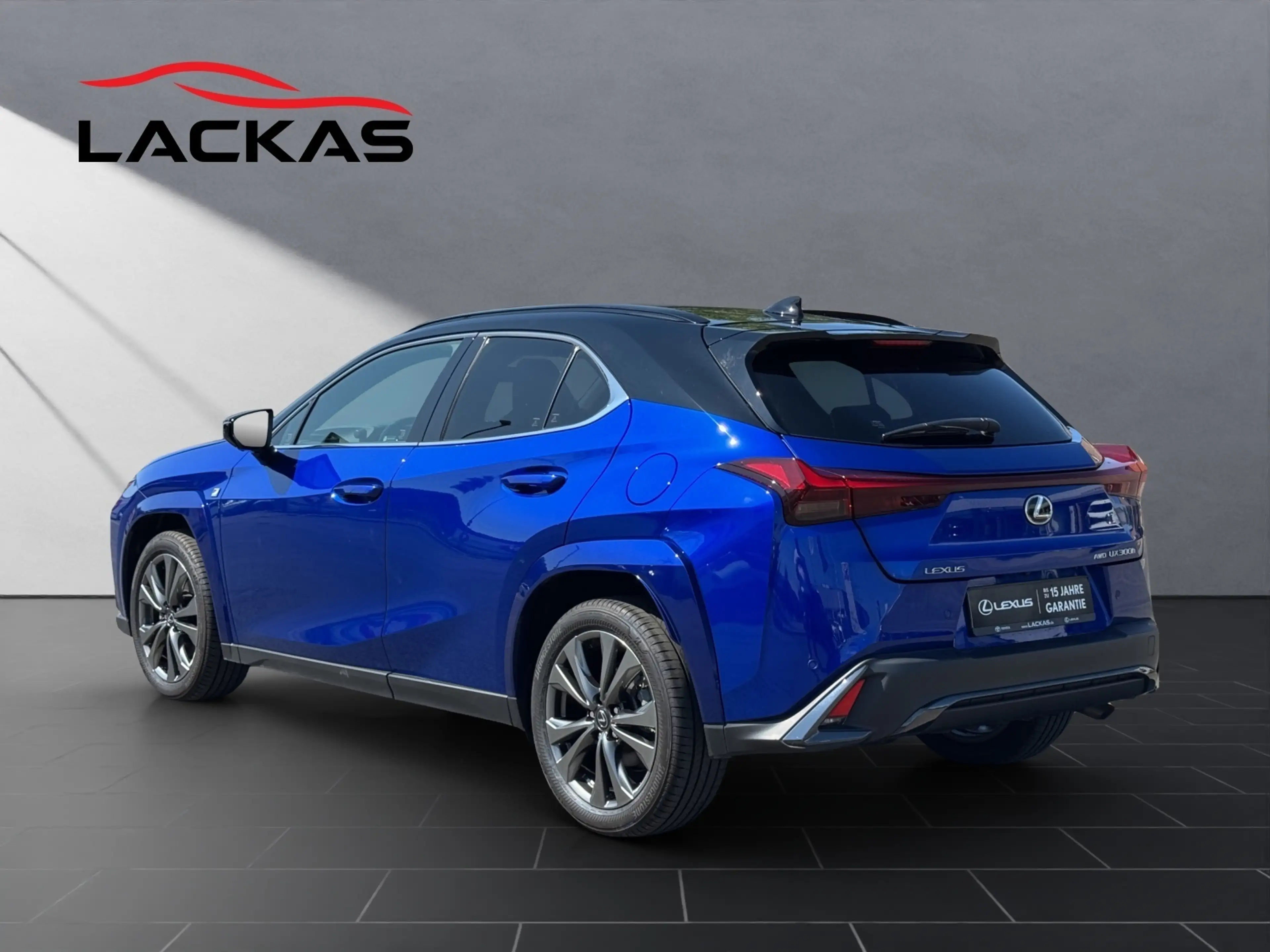Lexus UX 250h 300h F Sport — photo 3