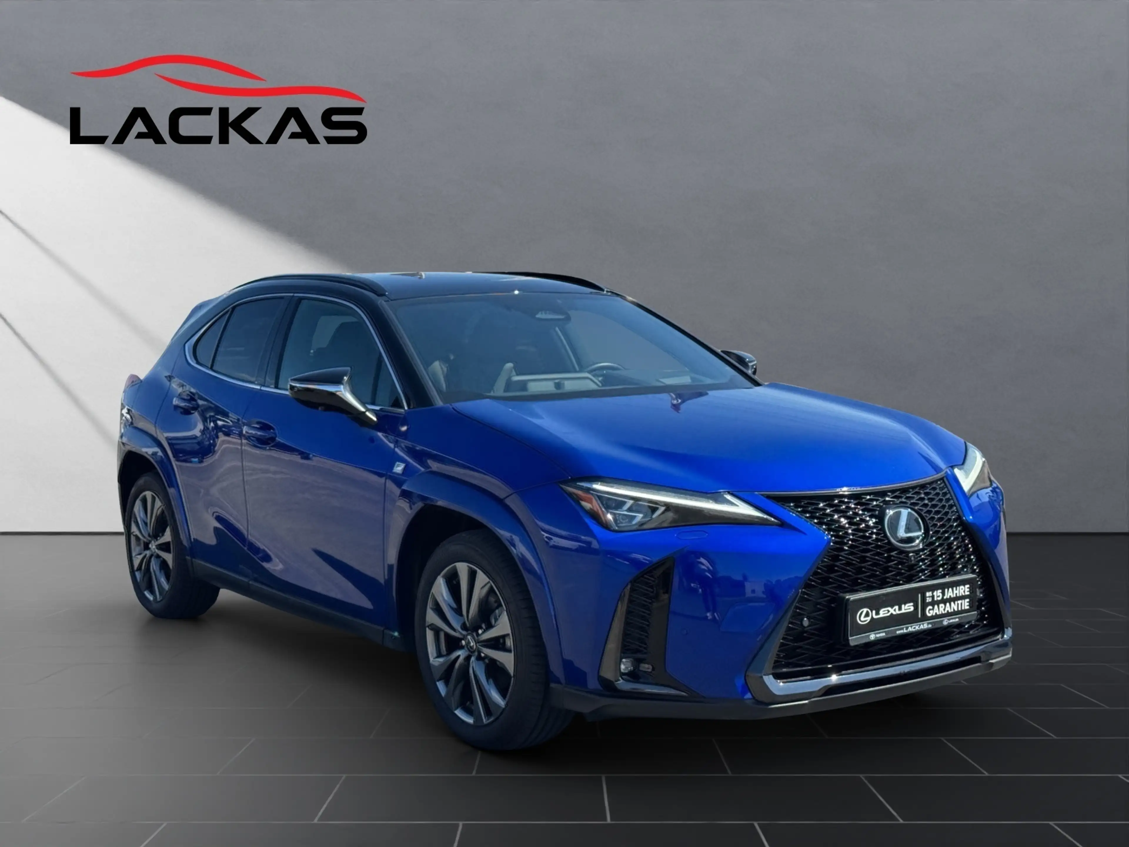 Lexus UX 250h 300h F Sport — photo 7