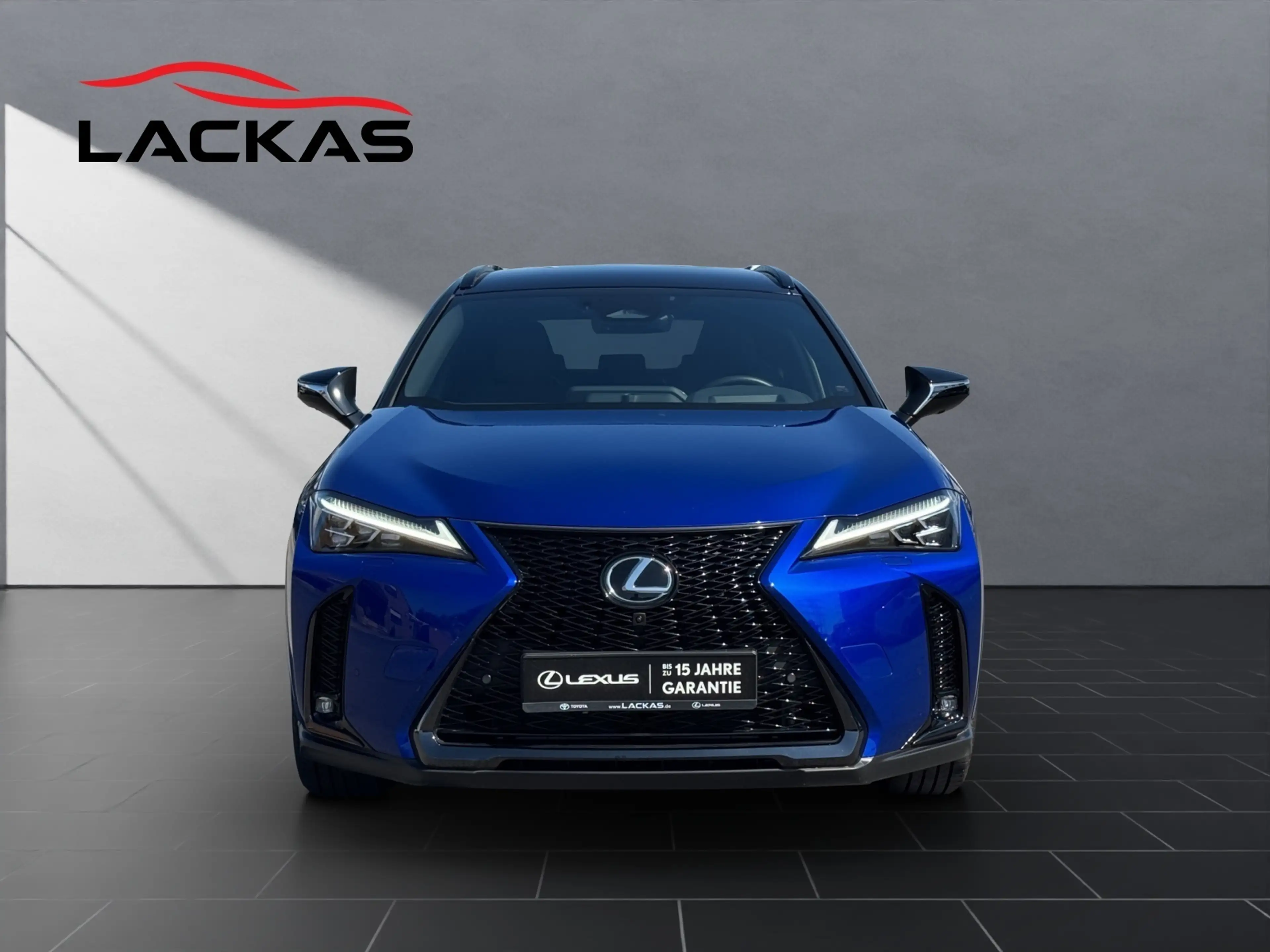 Lexus UX 250h 300h F Sport — photo 8