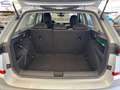 Skoda Kamiq 1.0 TSI 110 CV Ambition Grigio - thumbnail 38