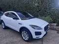 Jaguar E-Pace E-Pace 2017 2.0d i4 awd 150cv Bianco - thumbnail 1