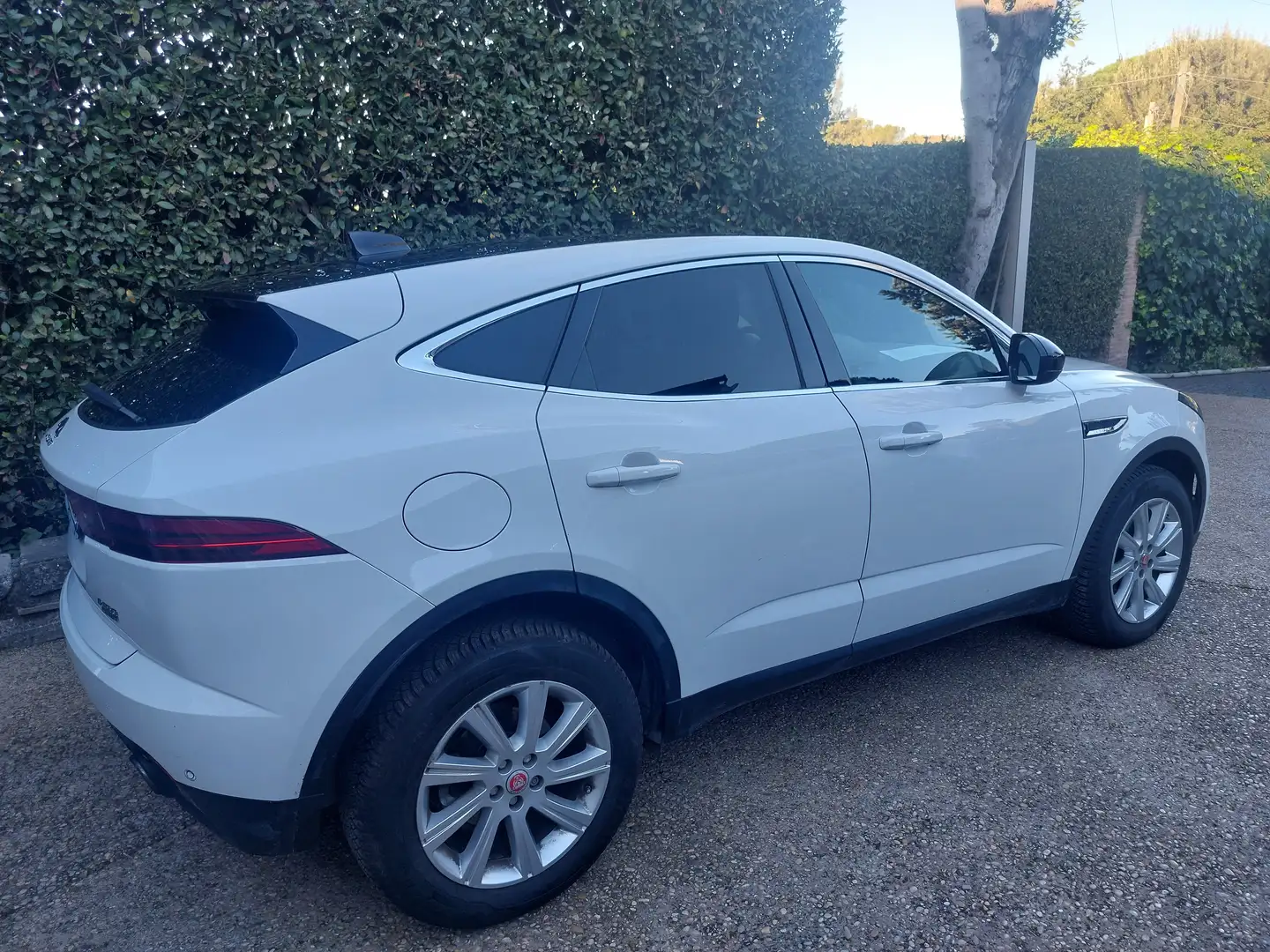 Jaguar E-Pace E-Pace 2017 2.0d i4 awd 150cv Bianco - 2