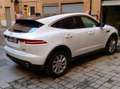 Jaguar E-Pace E-Pace 2017 2.0d i4 awd 150cv Bianco - thumbnail 3