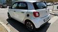 smart forFour Forfour 1.0 Youngster 71cv twinamic my18 Bianco - thumbnail 12