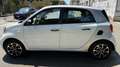 smart forFour Forfour 1.0 Youngster 71cv twinamic my18 Bianco - thumbnail 3