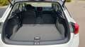 Volkswagen T-Roc T-Roc Style 2.0 TSI DSG 4M AHK/IQ/Matrix/Easy Weiß - thumbnail 14