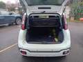 Fiat New Panda Panda 1.0 FireFly S&S Hybrid Pandina Bianco - thumbnail 5
