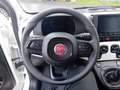 Fiat New Panda Panda 1.0 FireFly S&S Hybrid Pandina Bianco - thumbnail 9