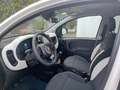 Fiat New Panda Panda 1.0 FireFly S&S Hybrid Pandina Bianco - thumbnail 6