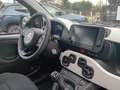 Fiat New Panda Panda 1.0 FireFly S&S Hybrid Pandina Bianco - thumbnail 12