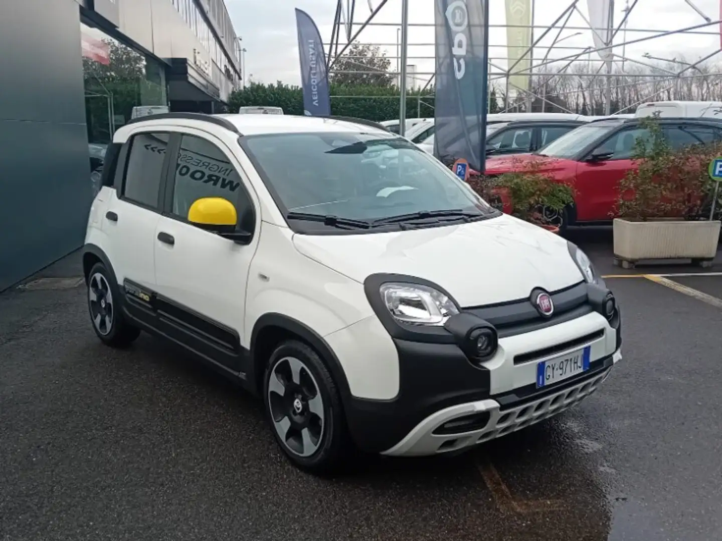 Fiat New Panda Panda 1.0 FireFly S&S Hybrid Pandina Bianco - 2