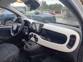 Fiat New Panda Panda 1.0 FireFly S&S Hybrid Pandina Bianco - thumbnail 11