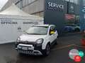 Fiat New Panda Panda 1.0 FireFly S&S Hybrid Pandina Bianco - thumbnail 1