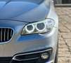 BMW 520 d xDrive Luxury (Tetto/Pelle/Xeno/Auto) Grijs - thumbnail 15
