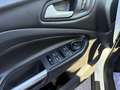 Ford Kuga Kuga 1,5 TDCi Trend Start/Stop Trend Weiß - thumbnail 10