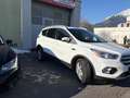 Ford Kuga Kuga 1,5 TDCi Trend Start/Stop Trend Weiß - thumbnail 3