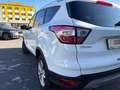 Ford Kuga Kuga 1,5 TDCi Trend Start/Stop Trend Weiß - thumbnail 7