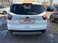 Ford Kuga Kuga 1,5 TDCi Trend Start/Stop Trend Weiß - thumbnail 5