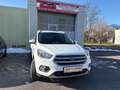 Ford Kuga Kuga 1,5 TDCi Trend Start/Stop Trend Weiß - thumbnail 2