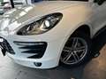 Porsche Macan 3.0 V6 340 ch S PDK TOIT OUVRANT Blanc - thumbnail 21