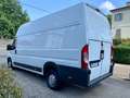 Fiat Ducato MAXI 35 XLH3 2.3 Multijet 130cv 6M Blanc - thumbnail 2