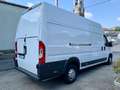 Fiat Ducato MAXI 35 XLH3 2.3 Multijet 130cv 6M Blanc - thumbnail 3