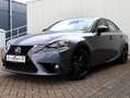 Lexus IS 300 300h Sport Edition | Stoelverwarming | Parkeersens Grau - thumbnail 11