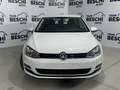Volkswagen Golf 1.6 TDI 110 CV 5p. Business BlueMotion Technology Blanco - thumbnail 13