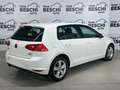 Volkswagen Golf 1.6 TDI 110 CV 5p. Business BlueMotion Technology White - thumbnail 4
