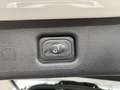 Ford S-Max S-MAX ST-Line-ACC+DAB+LED+KEY FREE+KAMERA+7SITZE Wit - thumbnail 22