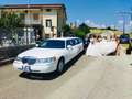 Ford FORD LINCOLN TOWN CAR Stretch LIMOUSINE Білий - thumbnail 4