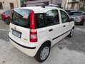 Fiat Panda 1.4 Natural Power Dynamic UniProp. Bombole 2027 Bianco - thumbnail 4