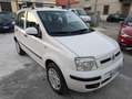 Fiat Panda 1.4 Natural Power Dynamic UniProp. Bombole 2027 Bianco - thumbnail 3