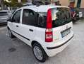 Fiat Panda 1.4 Natural Power Dynamic UniProp. Bombole 2027 Bianco - thumbnail 6
